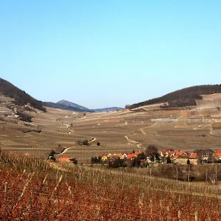 12sud Face Vosges Comfortable Vineyard Free Wifi 度假居 阿莫施威尔