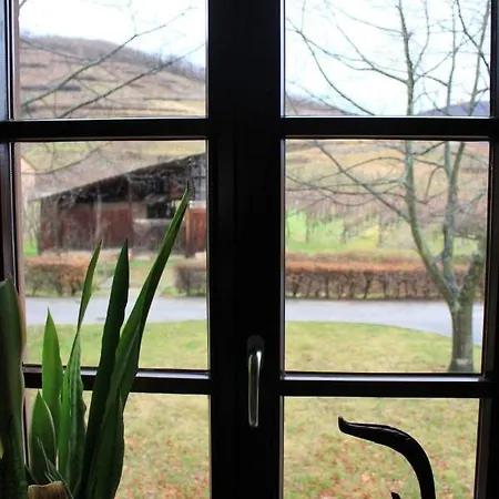 12sud Face Vosges Comfortable Vineyard Free Wifi