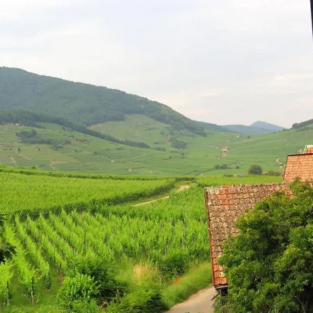 12sud Face Vosges Comfortable Vineyard Free Wifi *