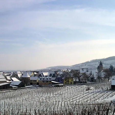 Casa de Férias 12sud Face Vosges Comfortable Vineyard Free Wifi Ammerschwihr
